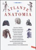 Atlante di anatomia