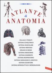 Atlante di anatomia