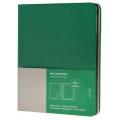 Cover slim ipad 3&4 oxide green