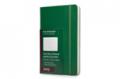 MOLESKINE DAILY LARGE PLANET 2015 OXID GREEN