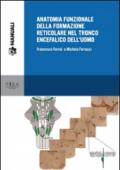 Anatomia funzionale della formazione reticolare nel tronco encefalico dell'uomo