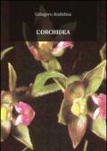 L'orchidea