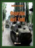 Ossezia del Sud (2008)