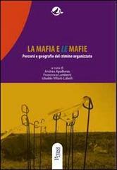 La mafia e le mafie. Percorsi e geografie del crimine organizzato