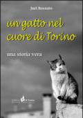 Un gatto nel cuore di Torino. Una storia vera