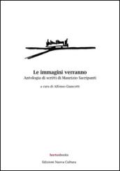 Le immagini verranno. Antologia di scritti di Maurizio Sacripanti