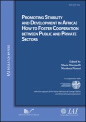Promoting stability and development in Africa. How to foster cooperation between public and private sectors