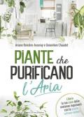 Piante che purificano l'aria