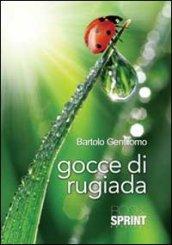 Gocce di rugiada