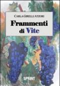 Frammenti di vite