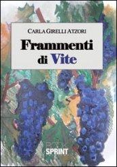 Frammenti di vite