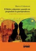 Il Diritto calpestato: quando un pregiudizio fa giurisprudenza