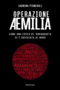 Operazione Aemilia. Come una cosca di 'Ndrangheta si è insediata al Nord