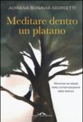 Meditare dentro un platano