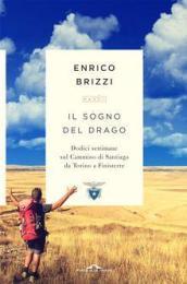 Il sogno del drago: Dodici settimane sul Cammino di Santiago da Torino a Finisterre