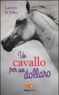 Un cavallo per un dollaro