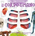 Il corpo umano. Oltre 100 cose da sapere sul tuo corpo