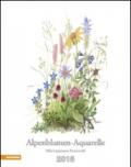 Alpenblumen acquarelle 2015