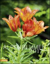 Alpenblumen calendario 2017