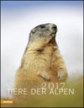 Tiere Der Alpen 2017