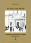 Nel segno del colore. Appunti per una storia della pittura a Viareggio. Ediz. illustrata