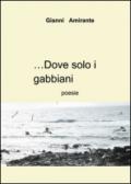 ...Dove solo i gabbiani