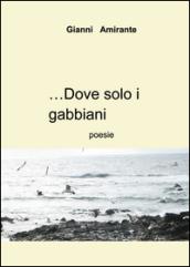 ...Dove solo i gabbiani