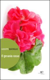 Il geranio rosso