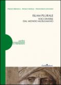 Islam plurale. Voci diverse dal mondo musulmano