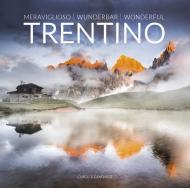 Meraviglioso Trentino. Ediz. italiana, tedesca e inglese