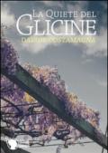 La quiete del glicine