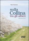 Sulla collina tra gli alberi