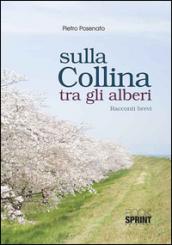 Sulla collina tra gli alberi