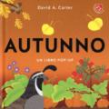 Autunno. Libro pop-up. Ediz. a colori