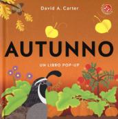 Autunno. Libro pop-up. Ediz. a colori