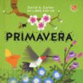 Primavera. Libro pop-up. Ediz. a colori