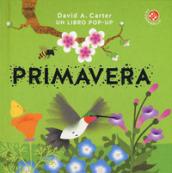 Primavera. Libro pop-up. Ediz. a colori