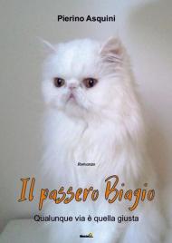 Il passero Biagio (qualunque via è quella giusta)