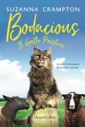 Bodacious. Il gatto pastore