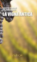 La vigna antica