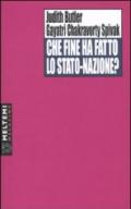 Che fine ha fatto lo stato-nazione?