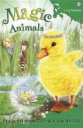 Molly Codastella scappa via. Magic animals: 2