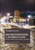 Microtoponimi a Marigliano. Luoghi, toponomastica, storia, tradizione