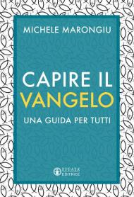 Capire il vangelo. Una guida per tutti