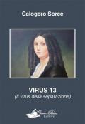 Virus 13 (il virus della separazione)