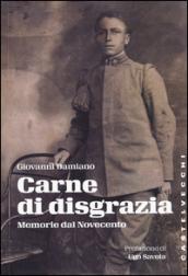 Carne di disgrazia. Memorie dal Novecento