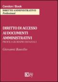 Diritto di accesso ai documenti amministrativi
