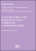 La tutela del cane randagio nelle pubbliche amministrazioni