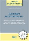 Il giudizio di ottemperanza. Profili sostanziali e processuali dell'esecuzione avverso la p.a. dinanzi al giudice amministrativo