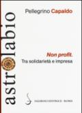 Non profit. Tra solidarietà e impresa